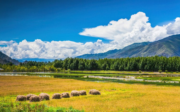 3-Week Must-See Places China Tour Including Holy Tibet