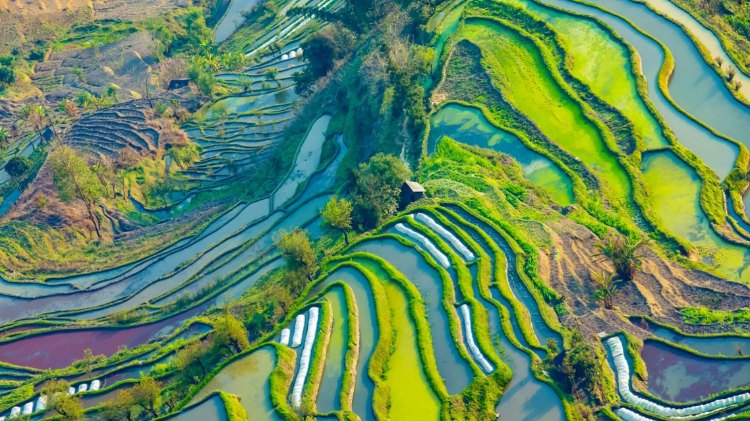 12-Day Best Yunnan and Zhangjiajie Tour